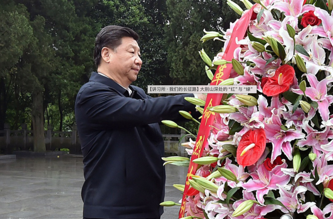 【讲习所·我们的长征路】大别山深处的“红”与“绿”
