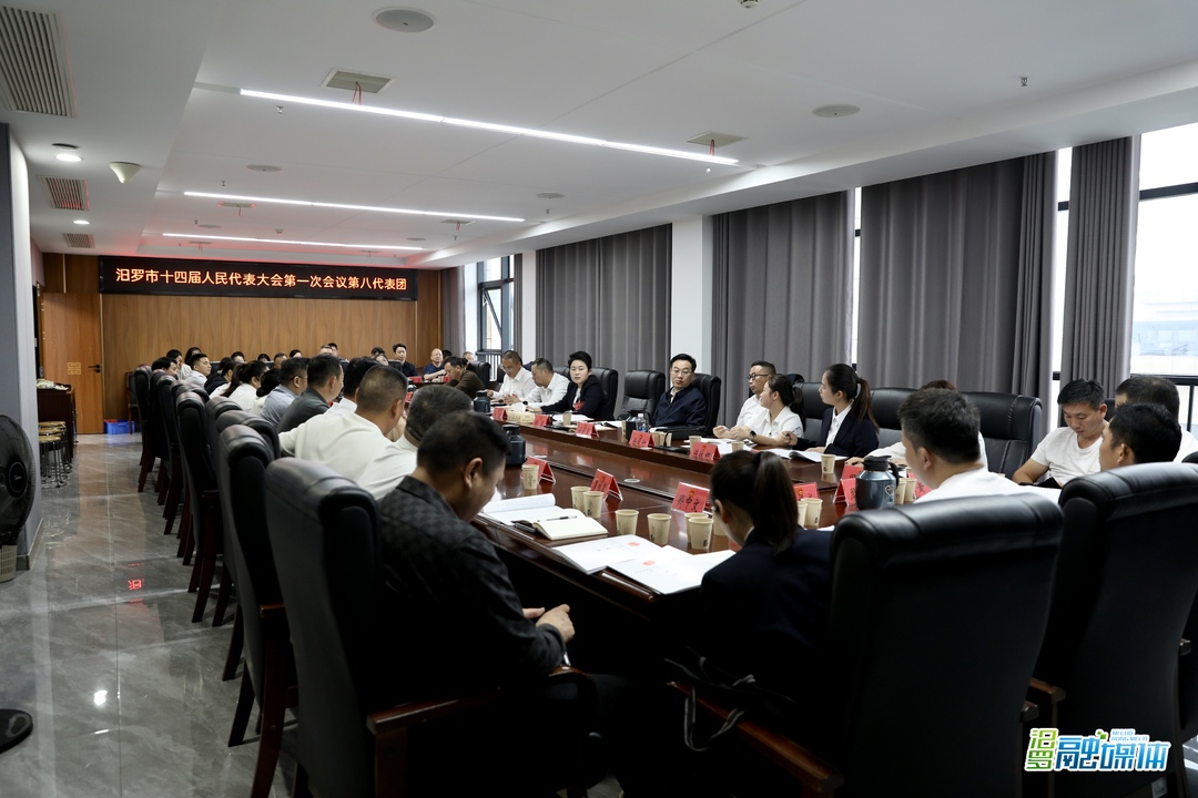 聚焦两会 | 汨罗市人大代表分团审议政府工作报告