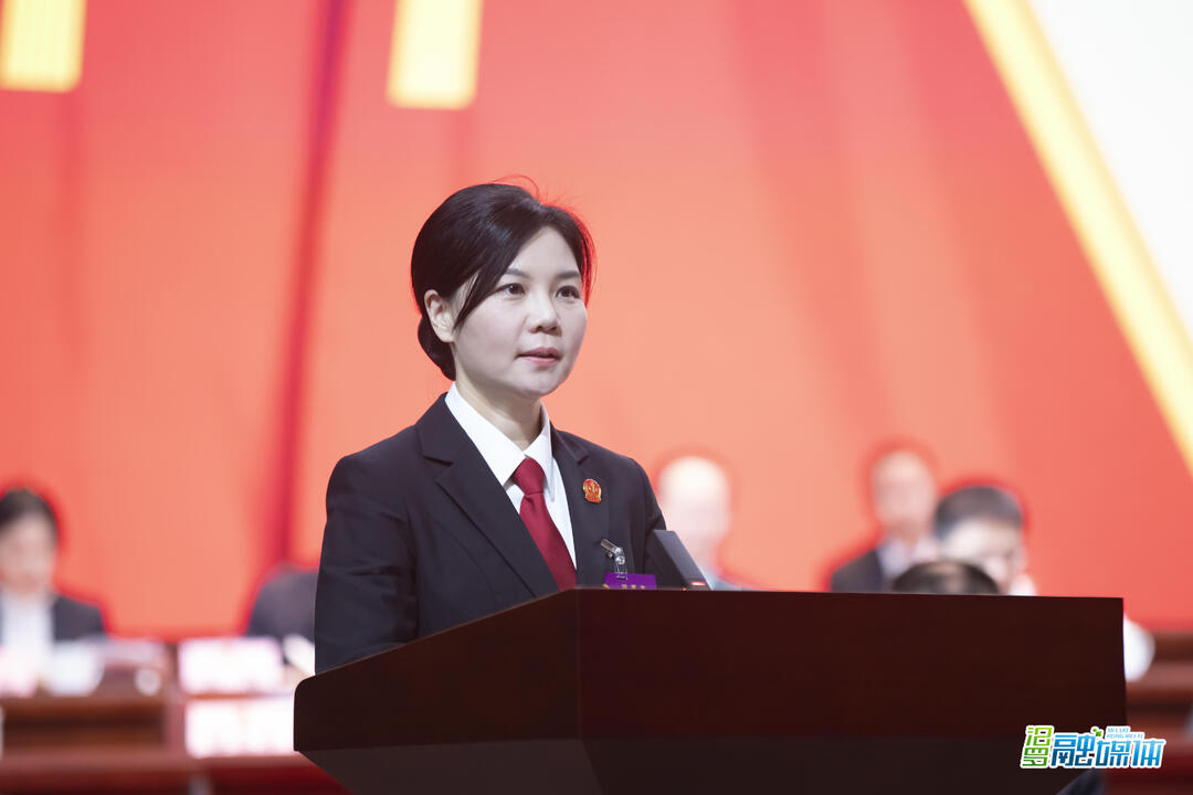 聚焦两会丨杨馨作市人民法院工作报告