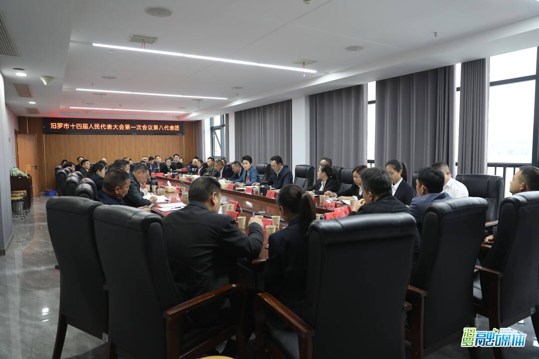 聚焦两会丨马慧参加人大第八代表团讨论  