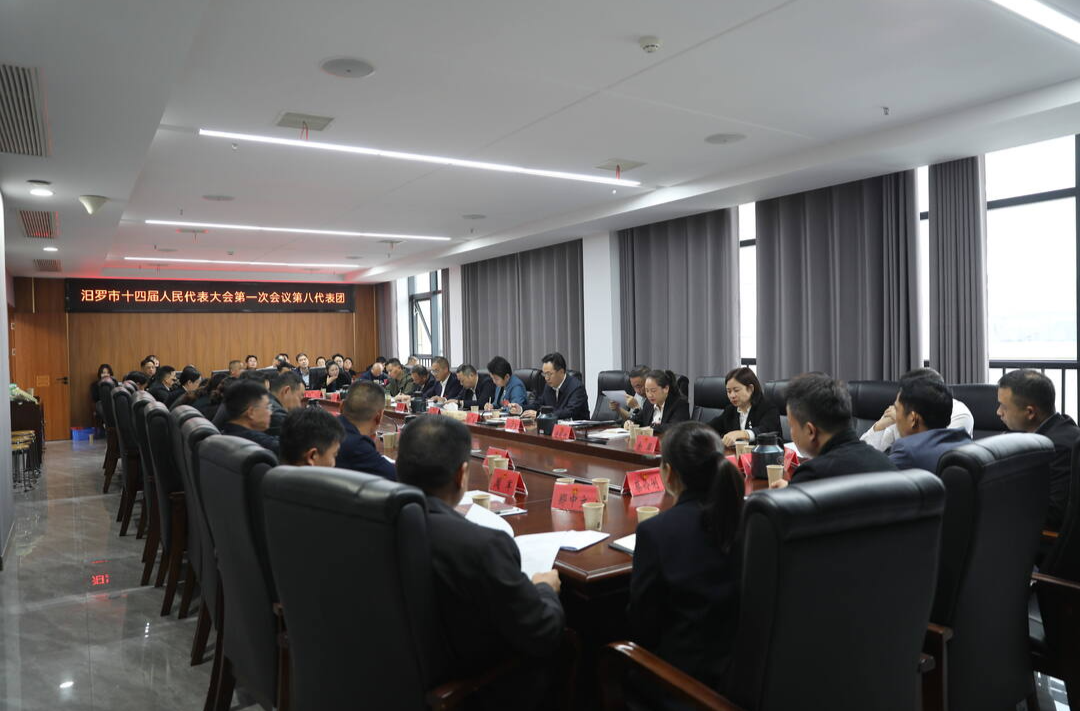 聚焦两会丨市人大代表分团审议市人大常委会工作报告和“两院”工作报告
