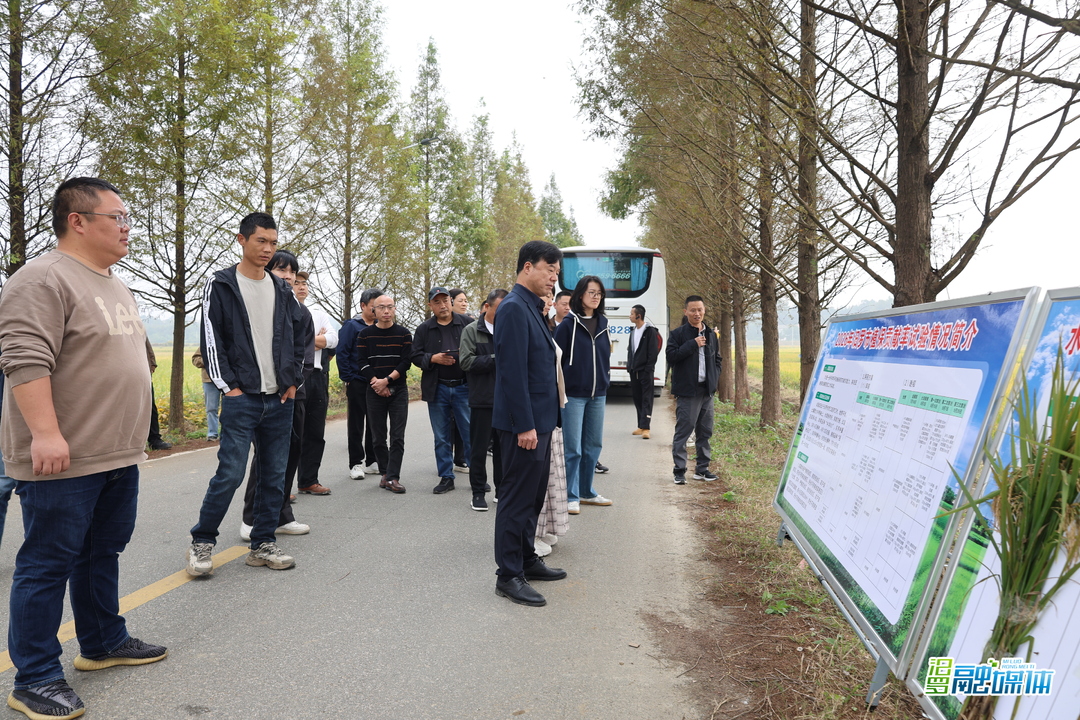 岳阳市病虫害防控工作推进会暨植保贡献率评价现场培训会在汨罗举行