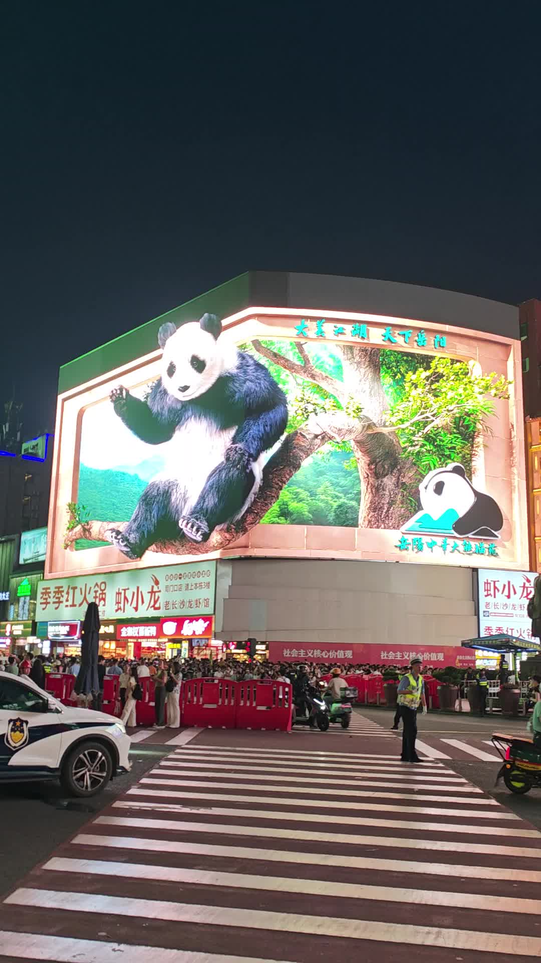 第四届湖南旅游发展大会丨起猛了！岳阳的熊猫“占领”长沙了，长沙3D大屏又又又上新，顶流国宝向百万游客发出邀约
