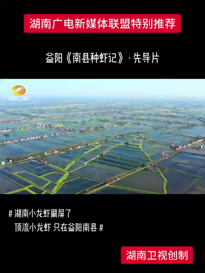 益阳《南县种虾记》·先导片