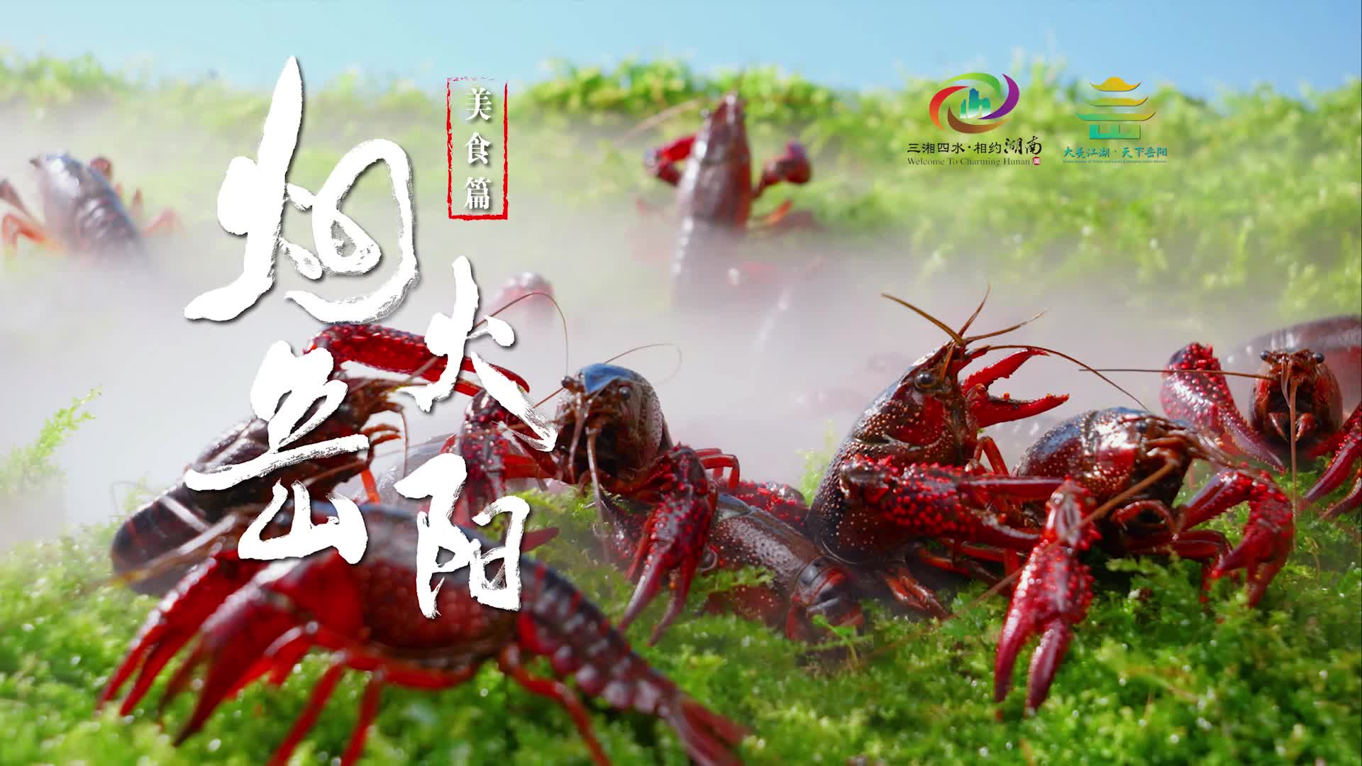 第四届湖南旅游发展大会丨​【烟火岳阳】美食篇：嘬！一口「虾鲜」醉江湖。