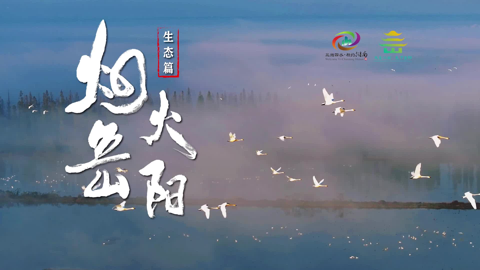 第四届湖南旅游发展大会丨【烟火岳阳】游玩篇： 乐！ 生态「四宝」萌翻天。这个夏天，来岳阳拥抱自然。