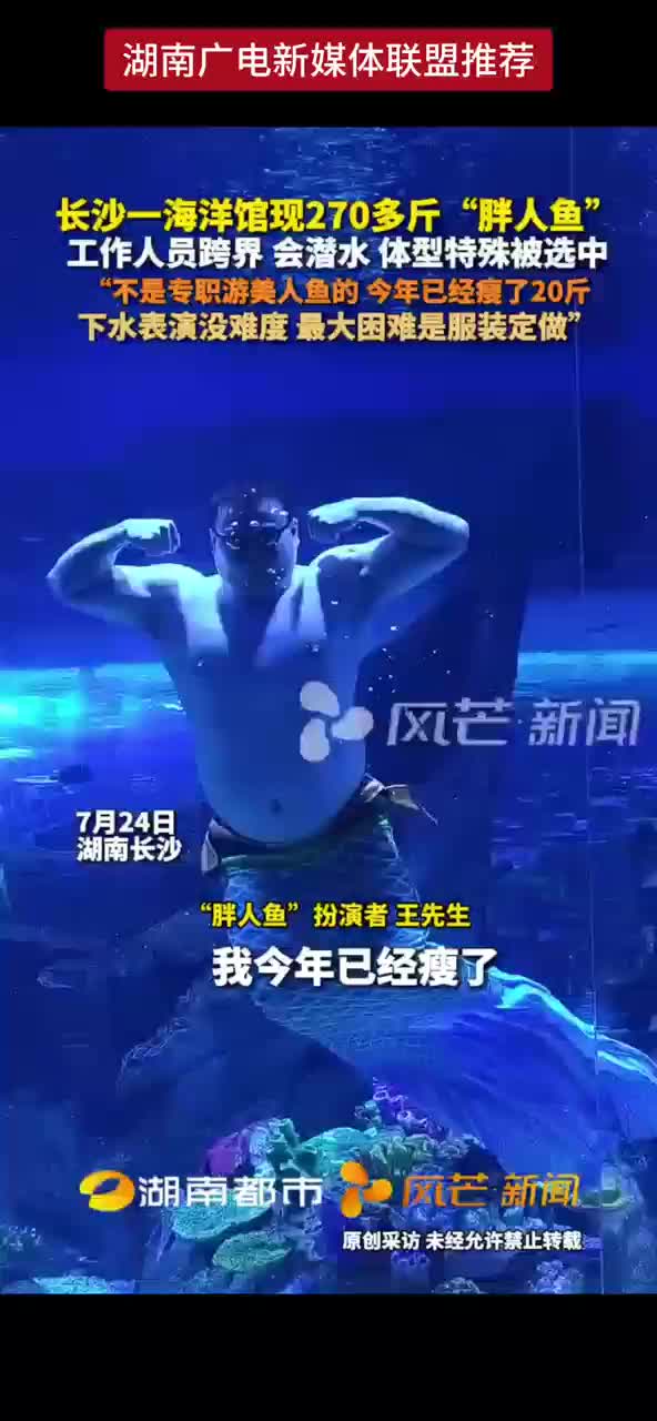 长沙一海洋馆现270多斤“胖人鱼” 工作人员跨界 会潜水 体型特殊被选中