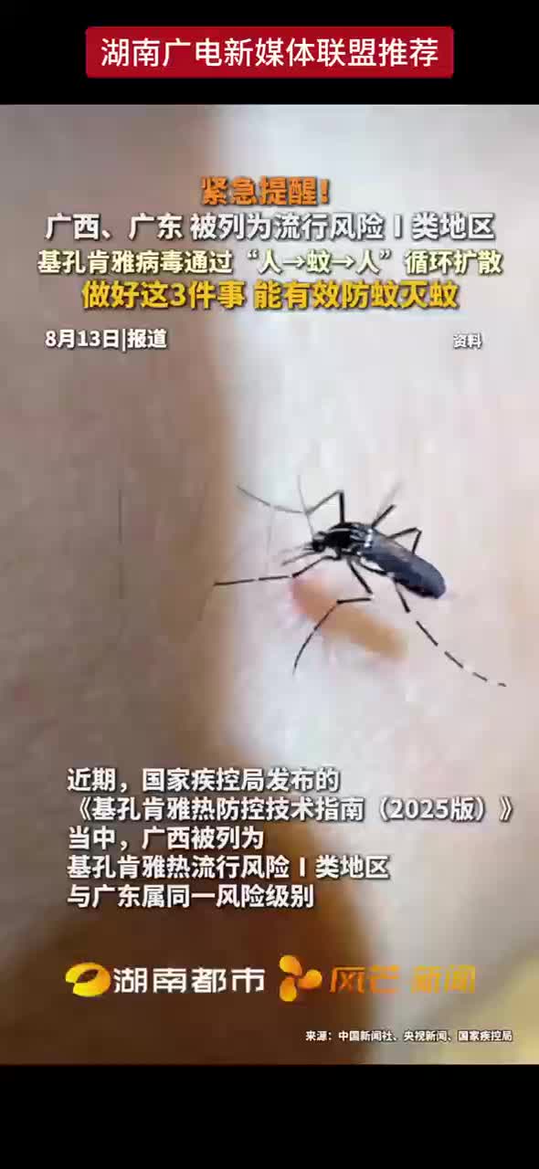 紧急提醒！广西、广东 被列为流行风险 I 类地区 基孔肯雅热病毒通过“人→蚊→人”循环扩散 做好这3件事能有效防蚊灭蚊