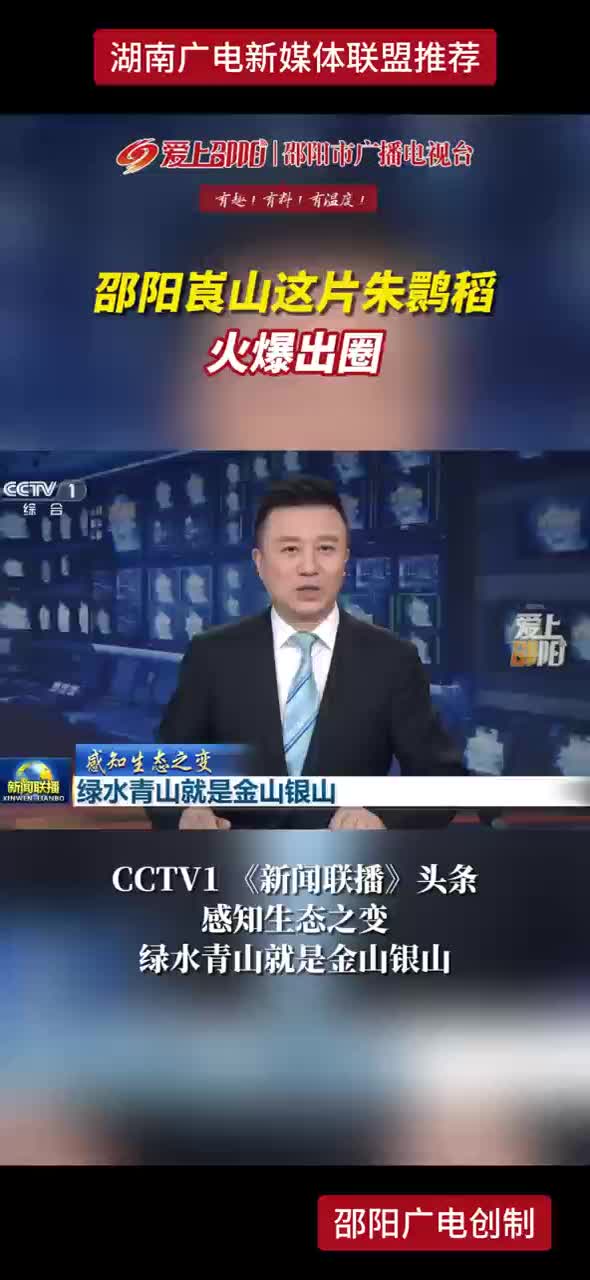 邵阳崀山这片朱鹮稻火爆出圈