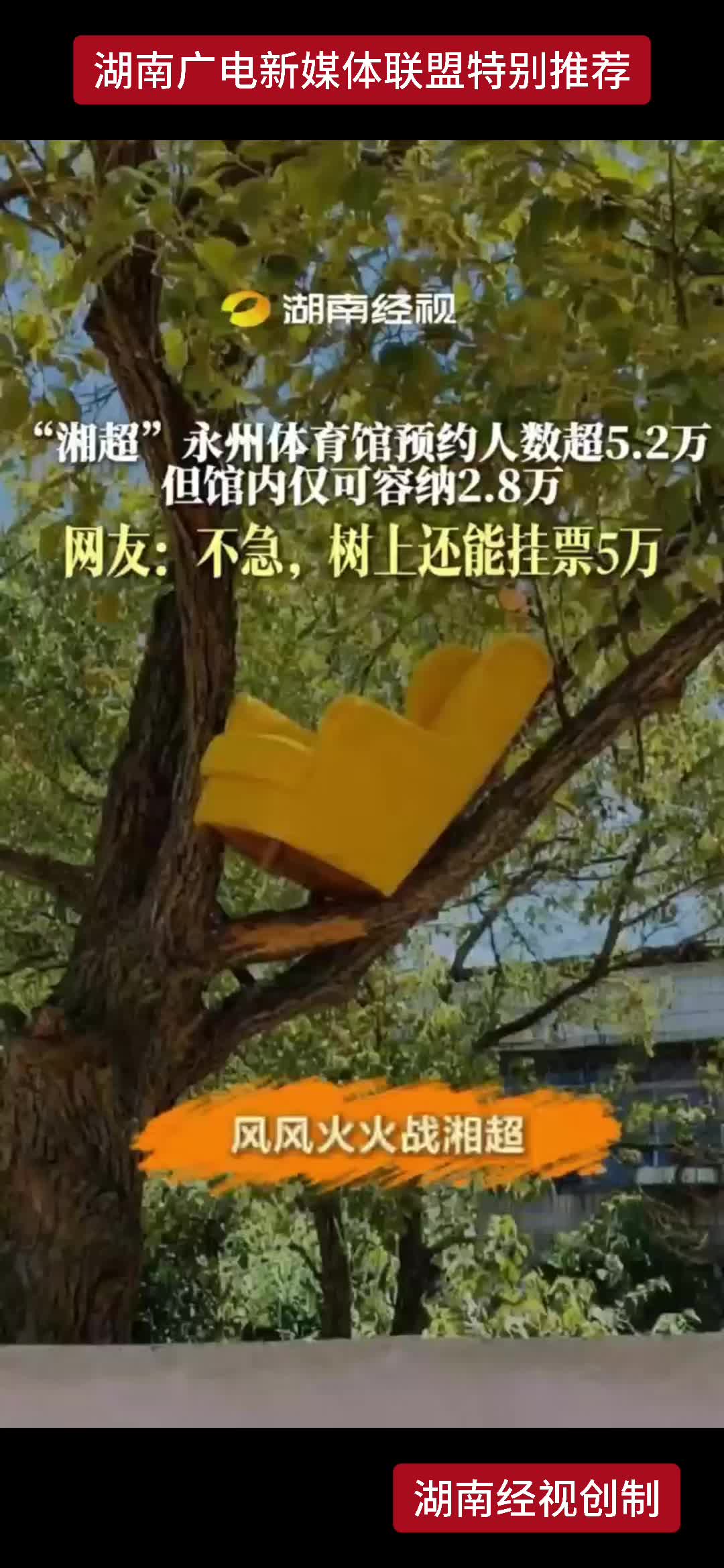 “湘超”永州体育馆预约人数超5.2万 但馆内仅可容纳2.8万 网友：不急，树上还能挂票5万