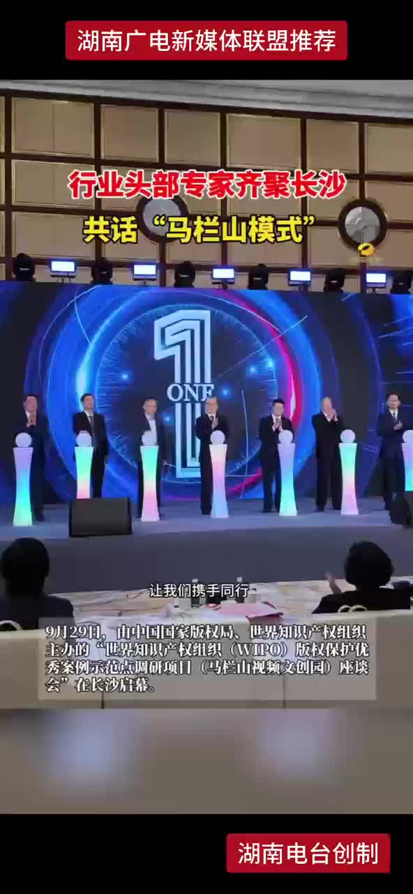 行业头部专家齐聚长沙 共话“马栏山模式”