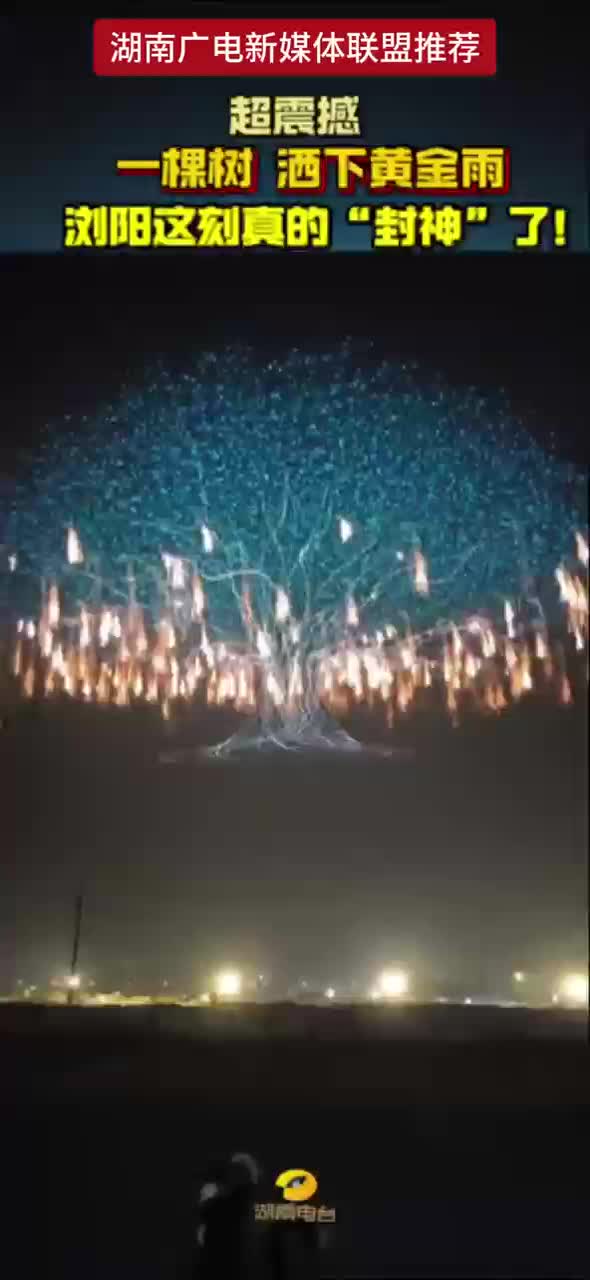 超震撼 一棵树 洒下黄金雨 浏阳这刻真的“封神”了！