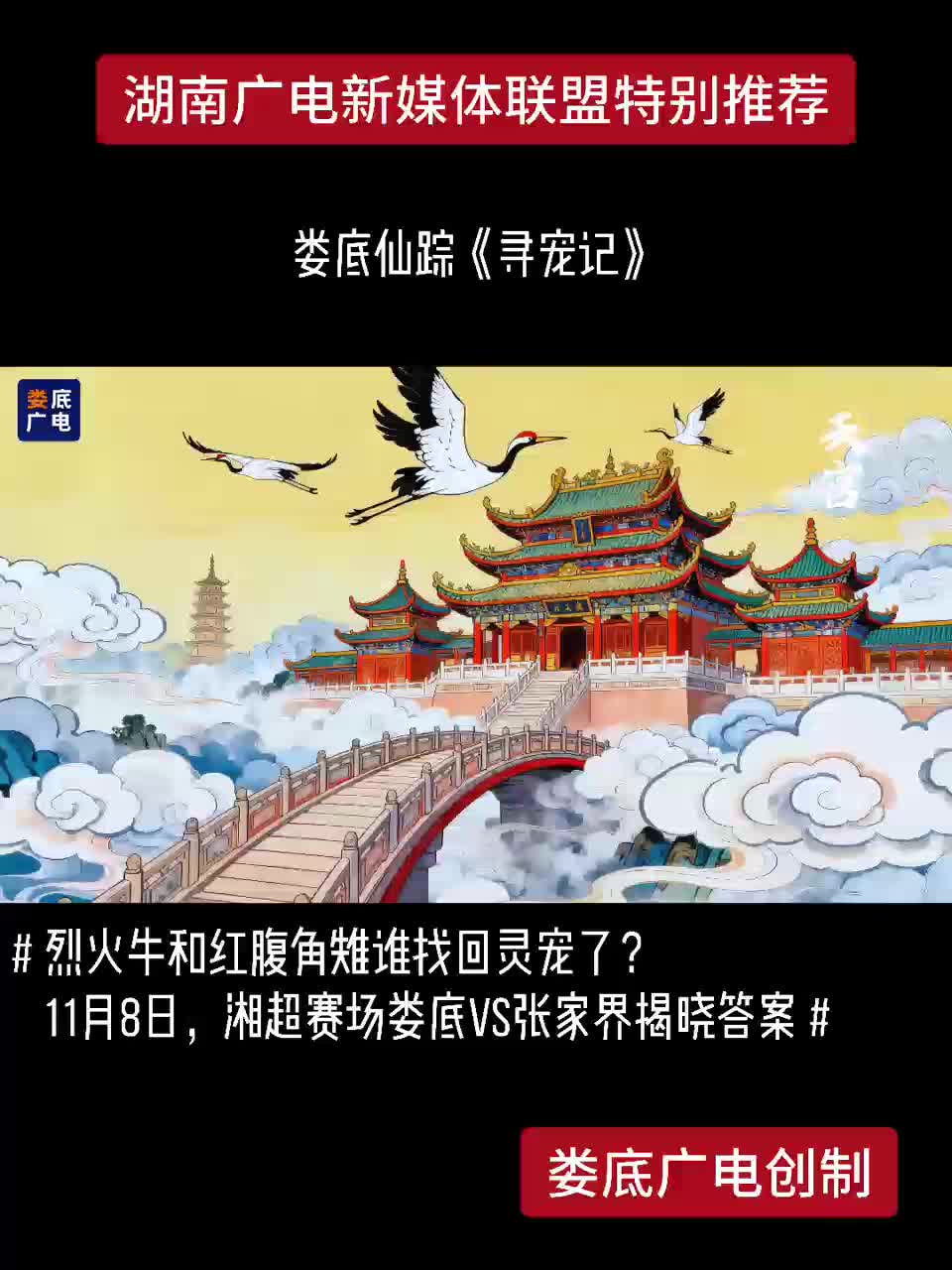 娄底仙踪《寻宠记》