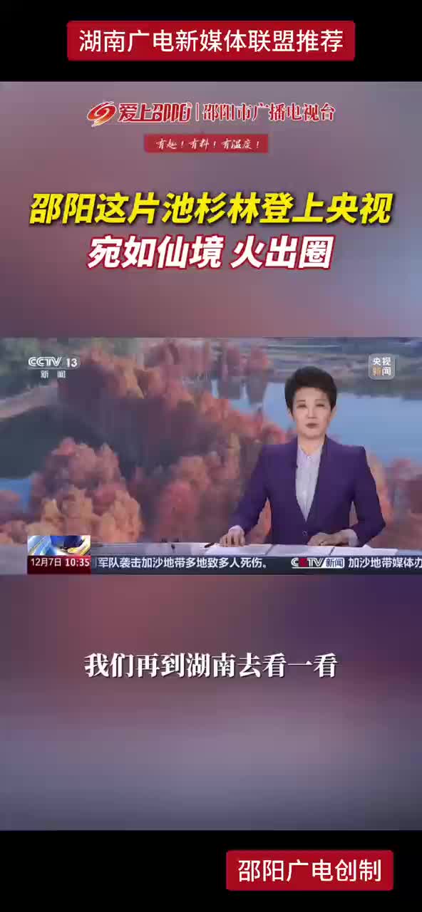 邵阳这片池杉林登上央视 宛如仙境 火出圈