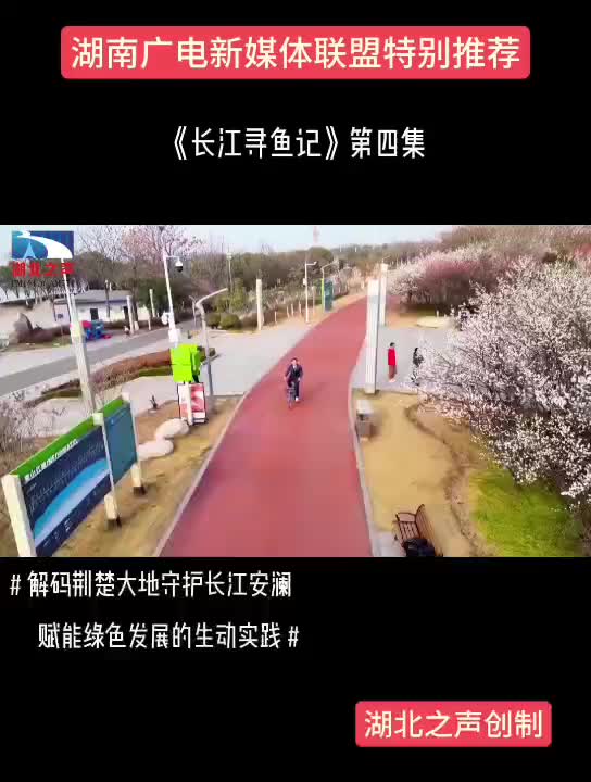 《长江寻鱼记》第四集