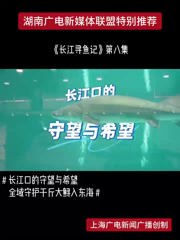 《长江寻鱼记》第八集