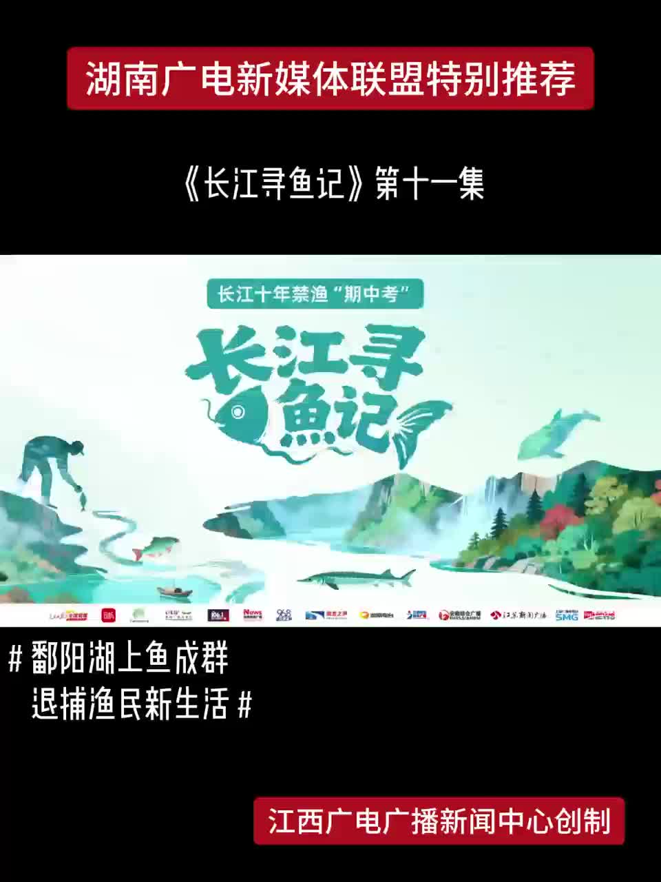 《长江寻鱼记》第十一集