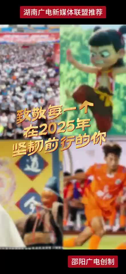 致敬每一个在2025年坚韧前行的你