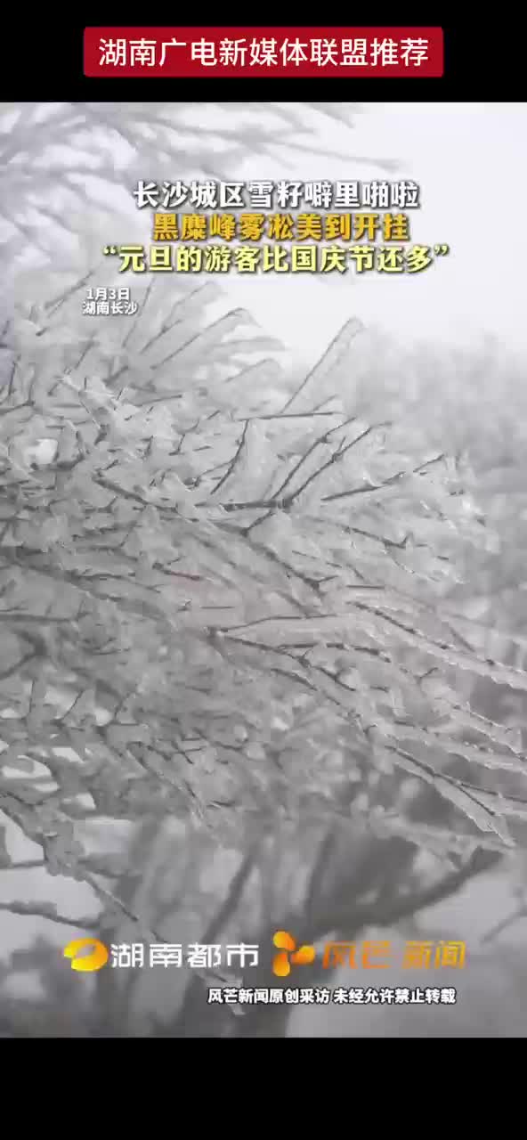 长沙城区雪籽噼里啪啦 黑麋峰雾凇美到开挂