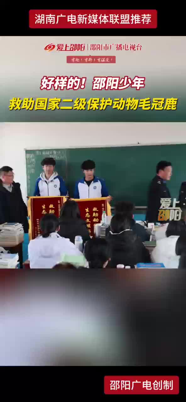 好样的！邵阳少年 救助国家二级保护动物毛冠鹿