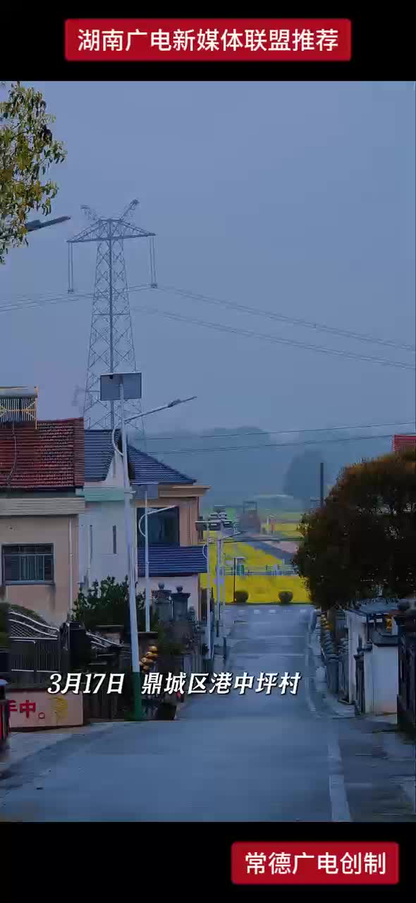 雨天的油菜花自带诗意 这才是春天的样子