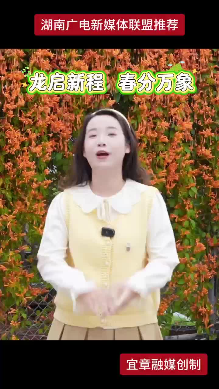 龙启新程 春分万象