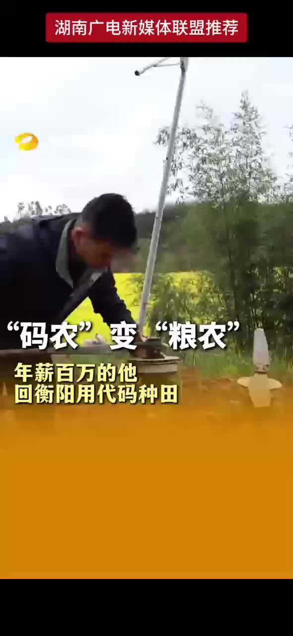 “码农”变“粮农” 年薪百万的他 回衡阳用代码种田