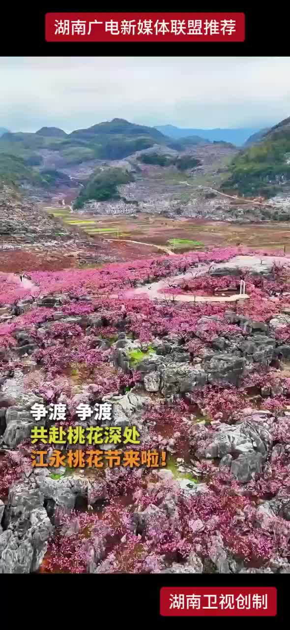 争渡 争渡 共赴桃花深处 江永桃花节来啦！
