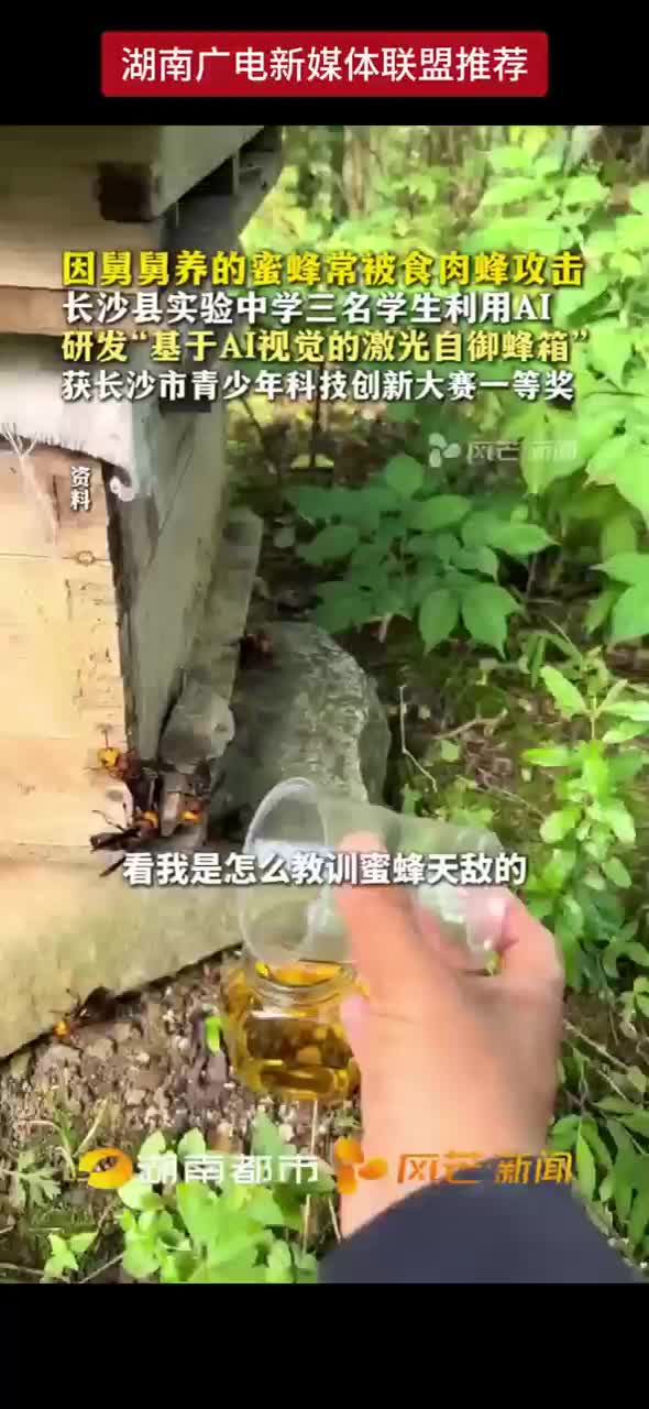 因舅舅养的蜜蜂常被食肉蜂攻击 长沙县实验中学三名学生利用AI研发“基于AI视觉的激光自御蜂箱” 获长沙市青少年科技创新大赛一等奖