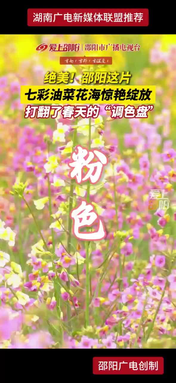 绝美！邵阳这片 七彩油菜花海惊艳绽放 打翻了春天的“调色盘”