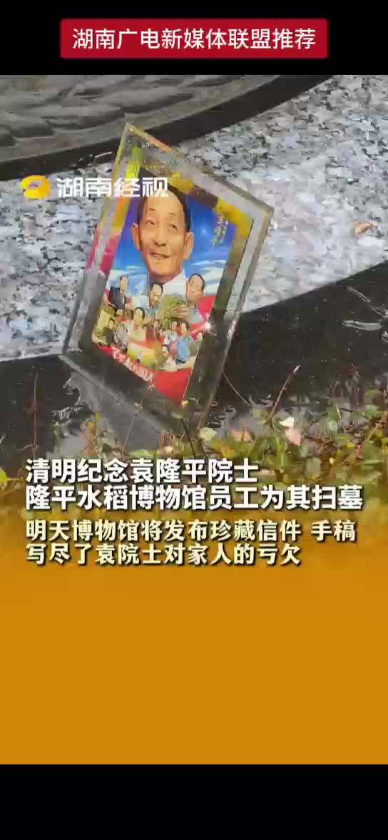 清明纪念袁隆平院士 隆平水稻博物馆员工为其扫墓