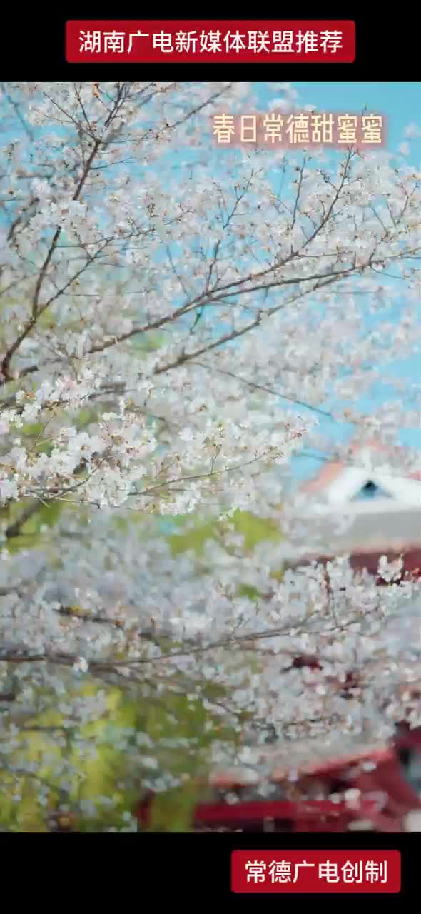 春日常德甜蜜蜜