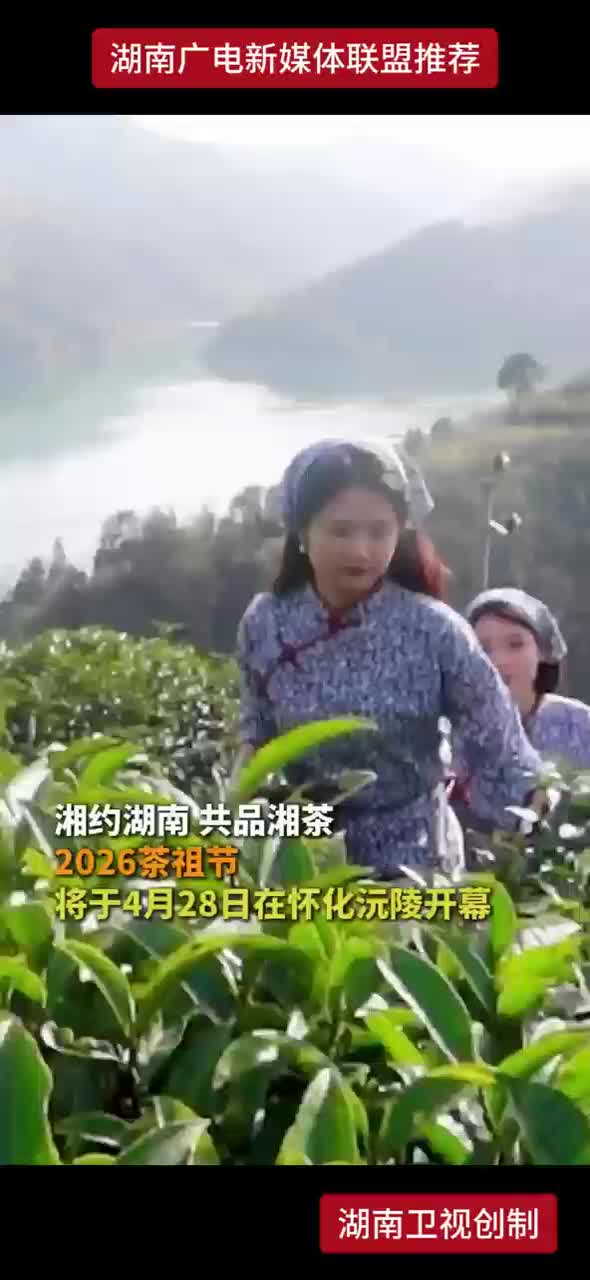 湘约湖南 共品湘茶 2026茶祖节将于4月28日在怀化沅陵开幕
