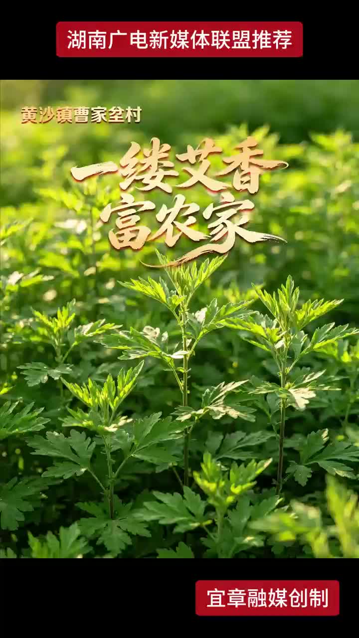 一缕艾香富农家