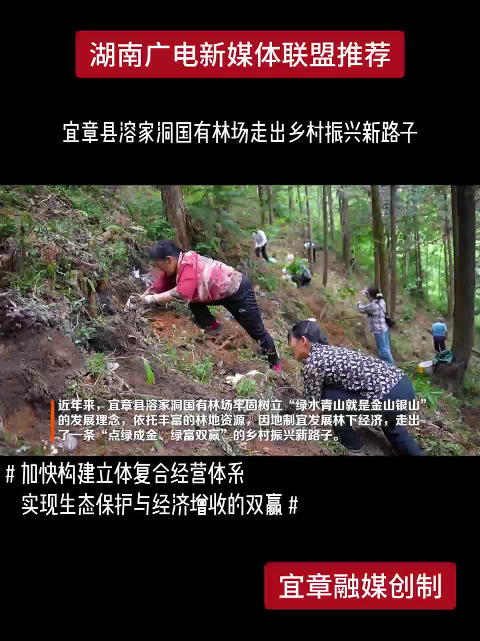 宜章县溶家洞国有林场走出乡村振兴新路子