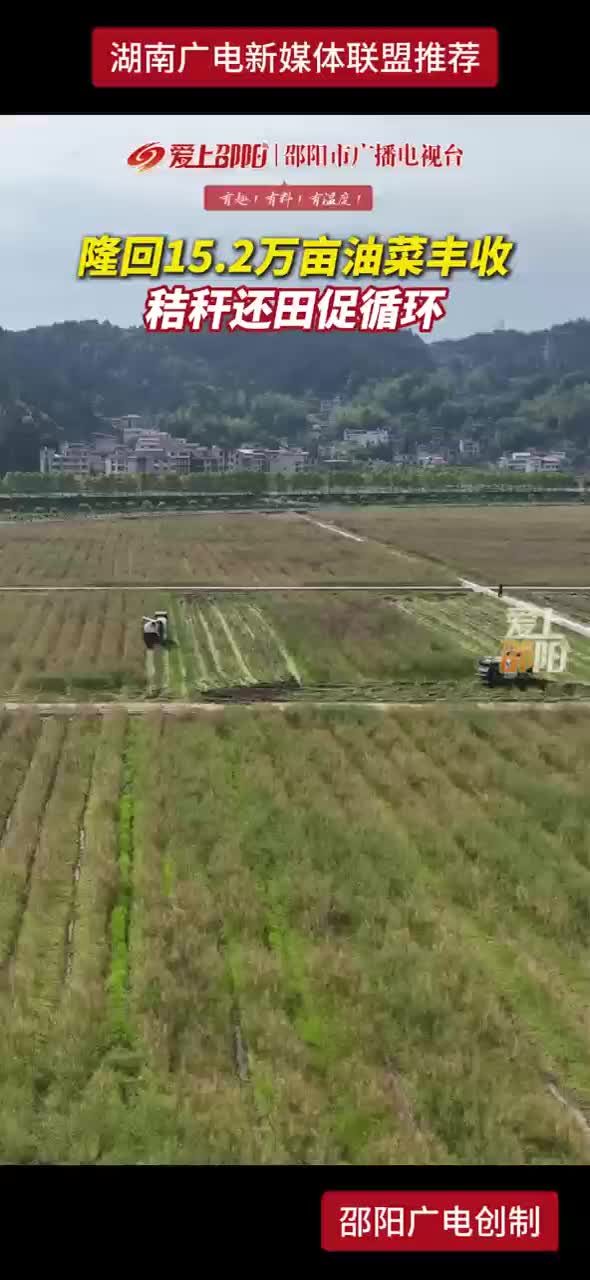 隆回15.2万亩油菜丰收 秸秆还田促循环