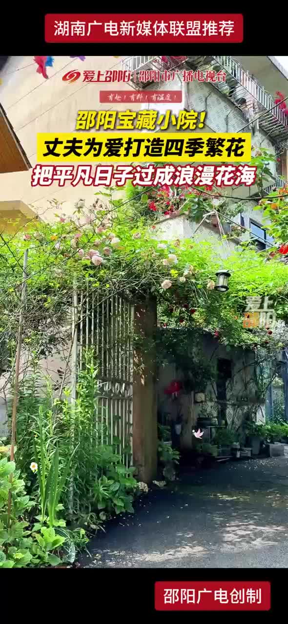 邵阳宝藏小院！丈夫为爱打造四季繁花 把平凡日子过成浪漫花海
