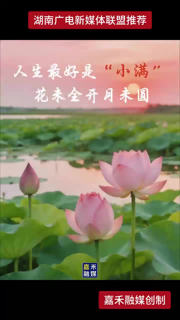 人生最好是“小满” 花未全开月未圆