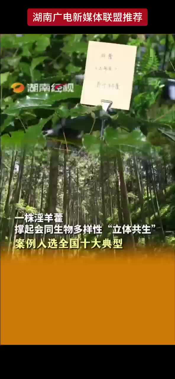 一株淫羊藿 撑起会同生物多样性“立体共生” 案例入选全国十大典型