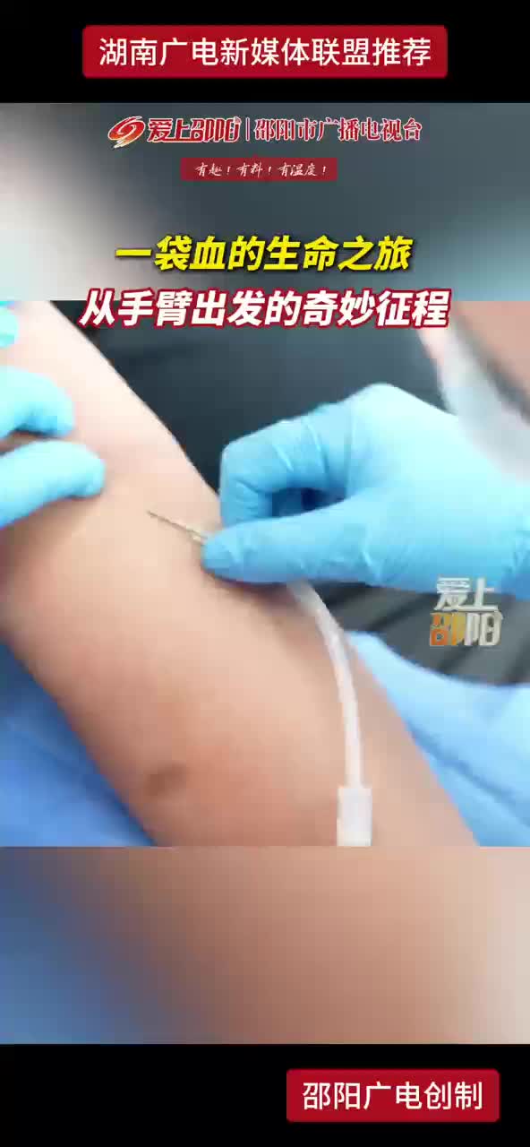 一袋血的生命之旅 从手臂出发的奇迹征程