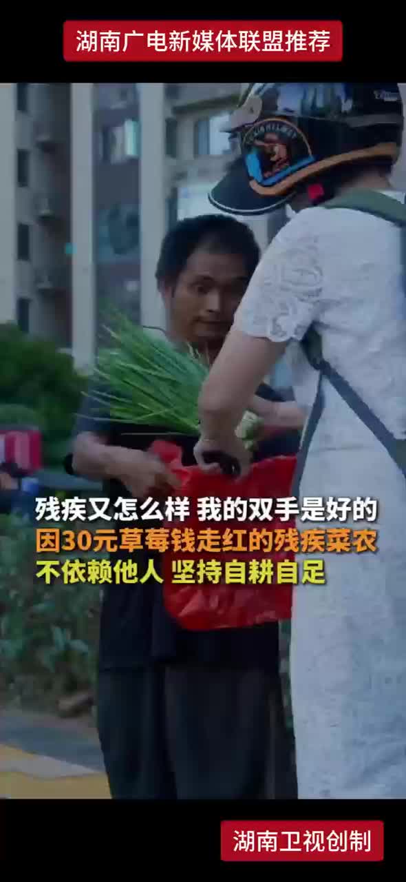 残疾又怎么样 我的双手是好的 因30元草莓钱走红的残疾菜农 不依赖他人 坚持自耕自足