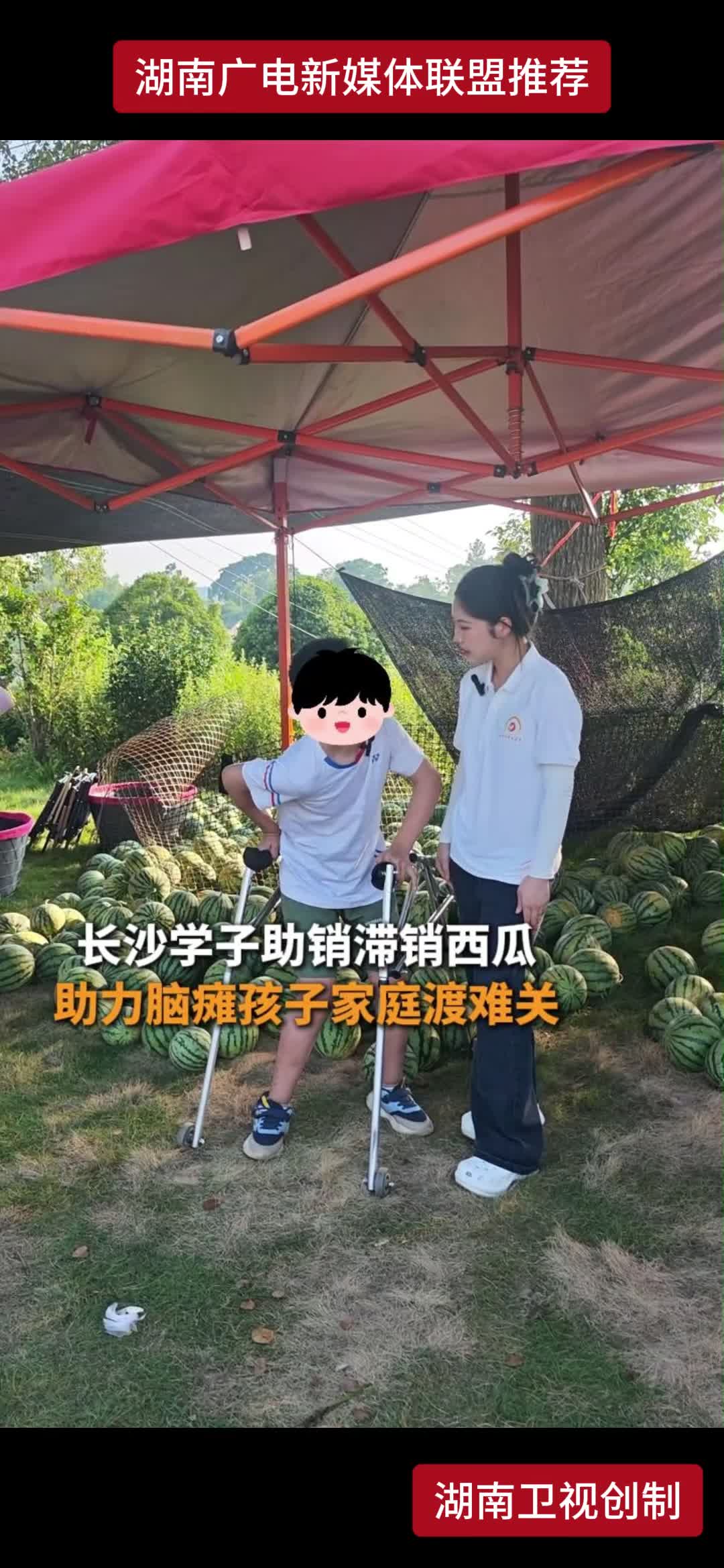 长沙学子助销滞销西瓜 助力脑瘫孩子家庭渡难关