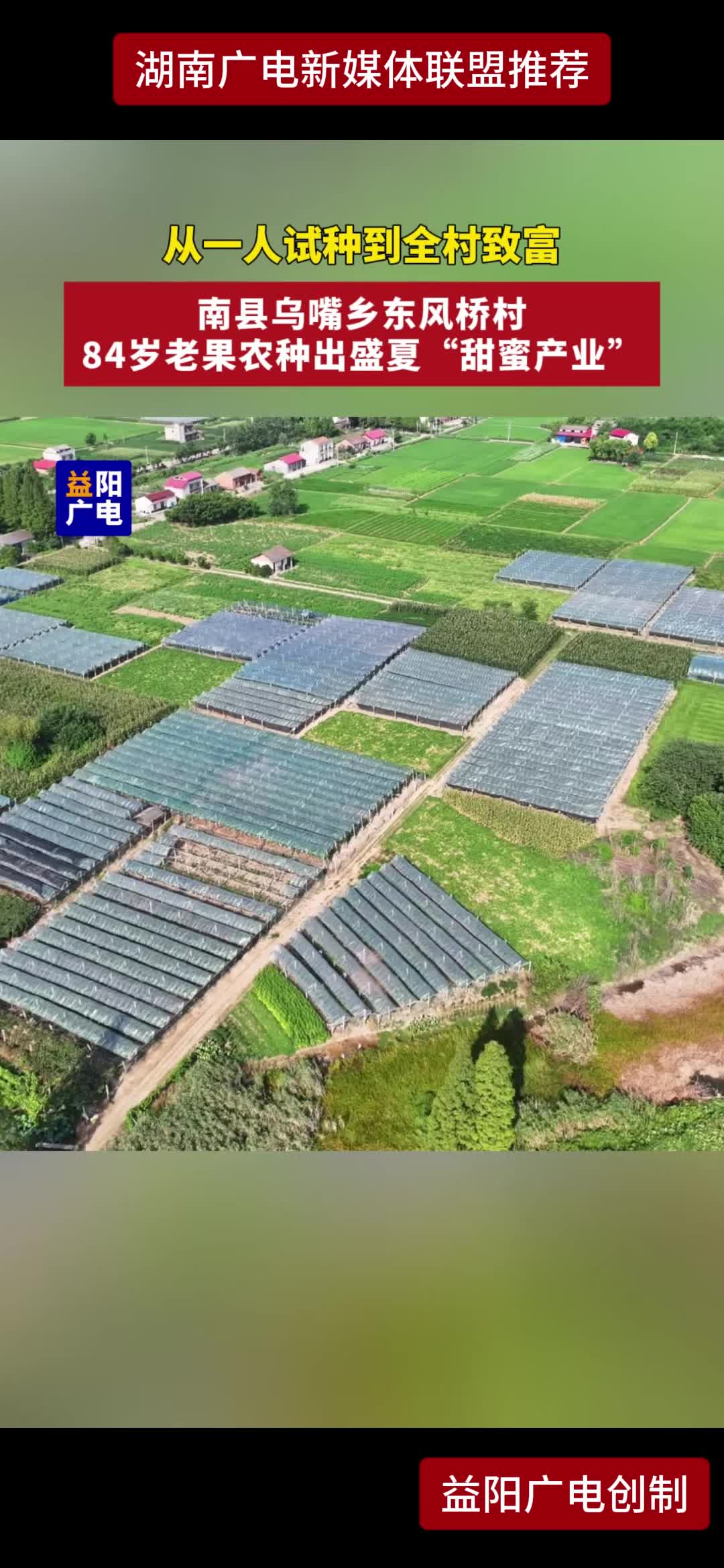 从一人试种到全村致富 南县乌嘴乡东风桥村84岁老果农种出盛夏“甜蜜产业”