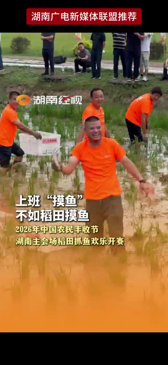 上班“摸鱼”不如稻田摸鱼 2026年中国农民丰收节湖南主会场稻田抓鱼欢乐开赛
