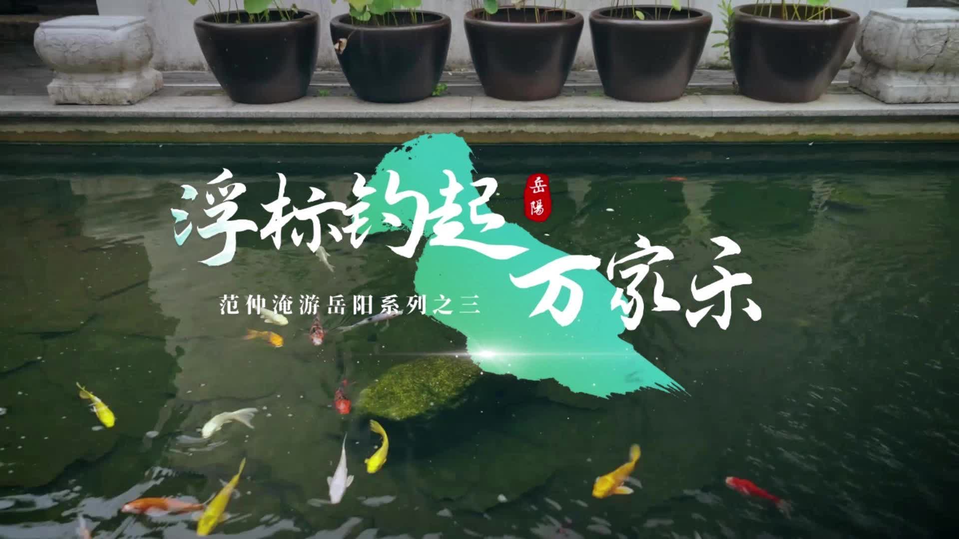 浮标钓起万家乐——范仲淹游岳阳系列之三