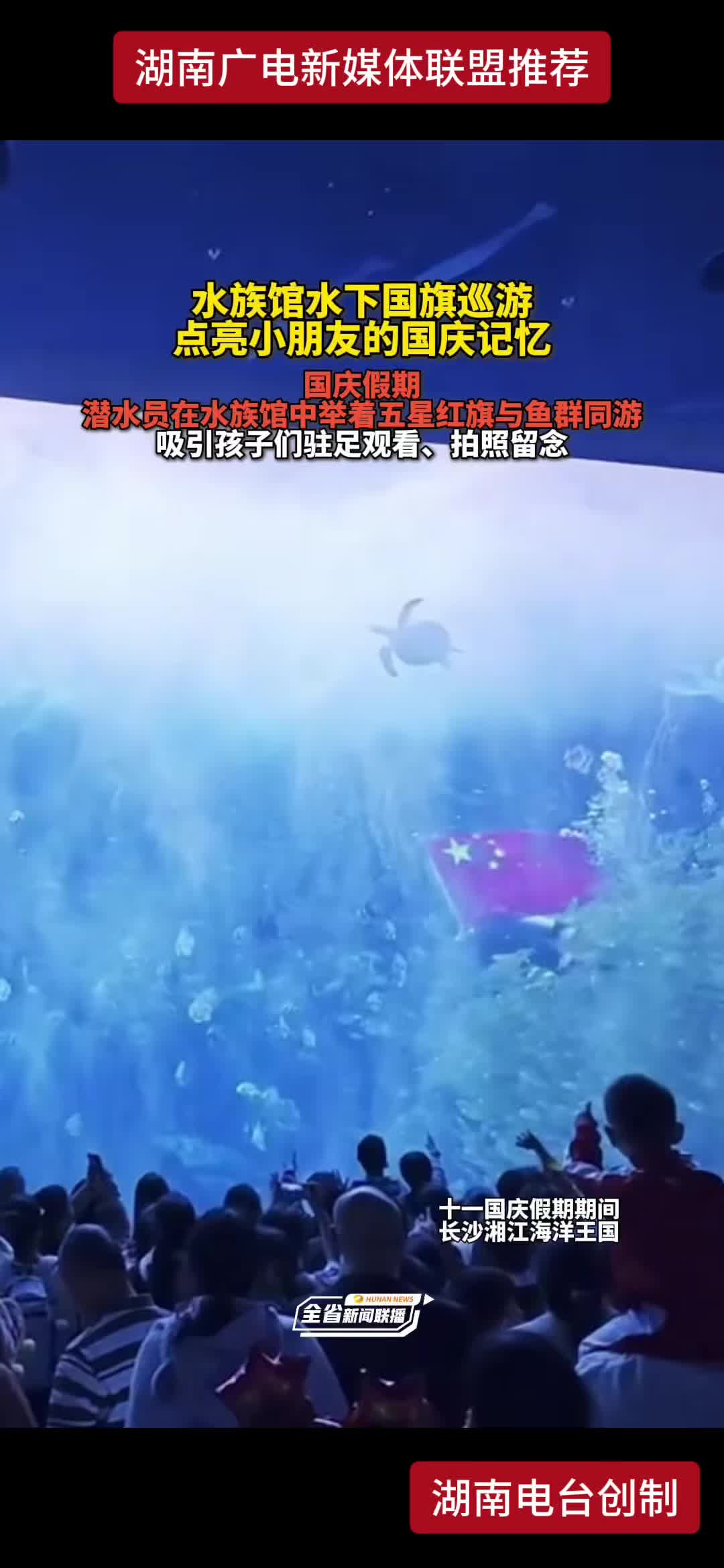 水族馆水下国旗巡游点亮小朋友的国庆记忆 国庆假期 潜水员在水族馆中举着五星红旗与鱼群同游 吸引孩子们驻足观看、拍照留念
