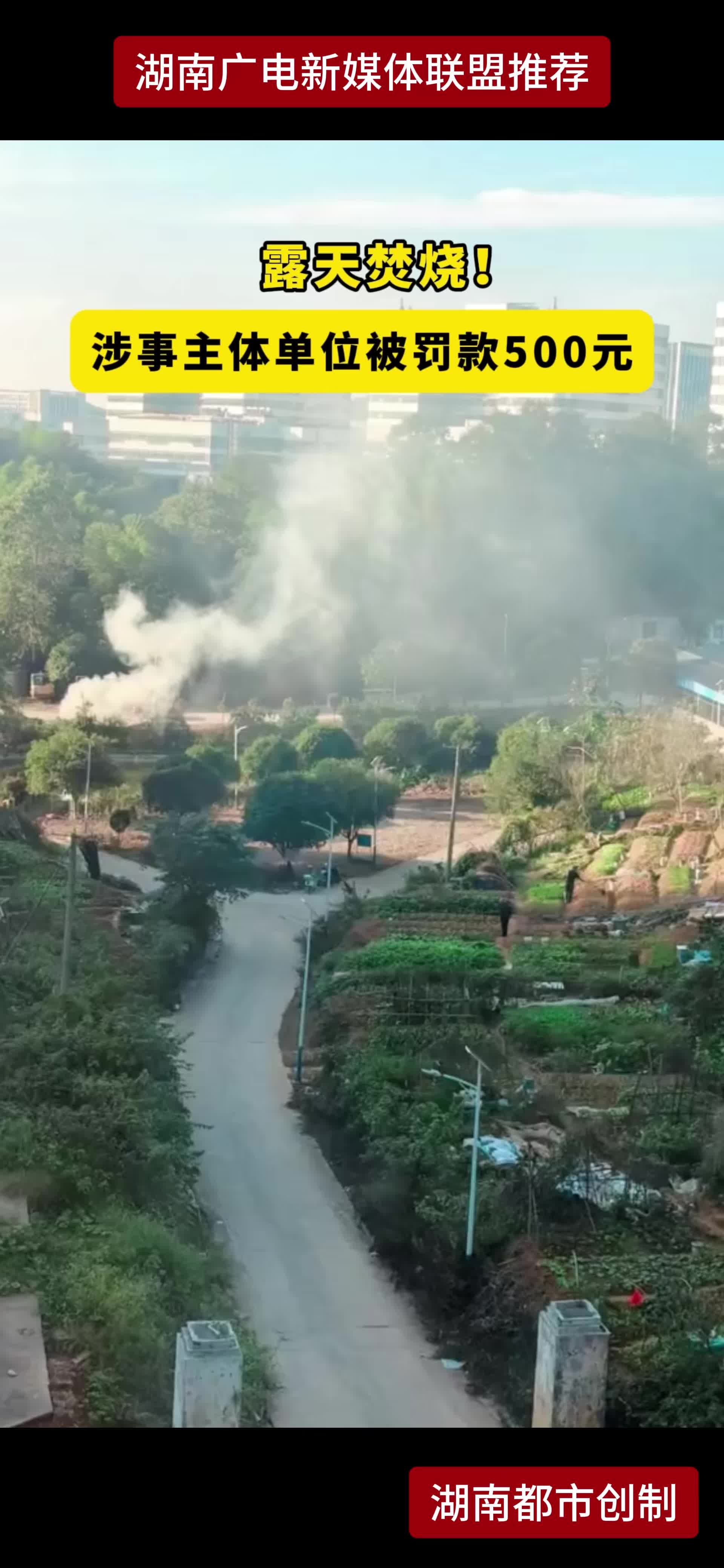露天焚烧!  涉事主体单位被罚款500元