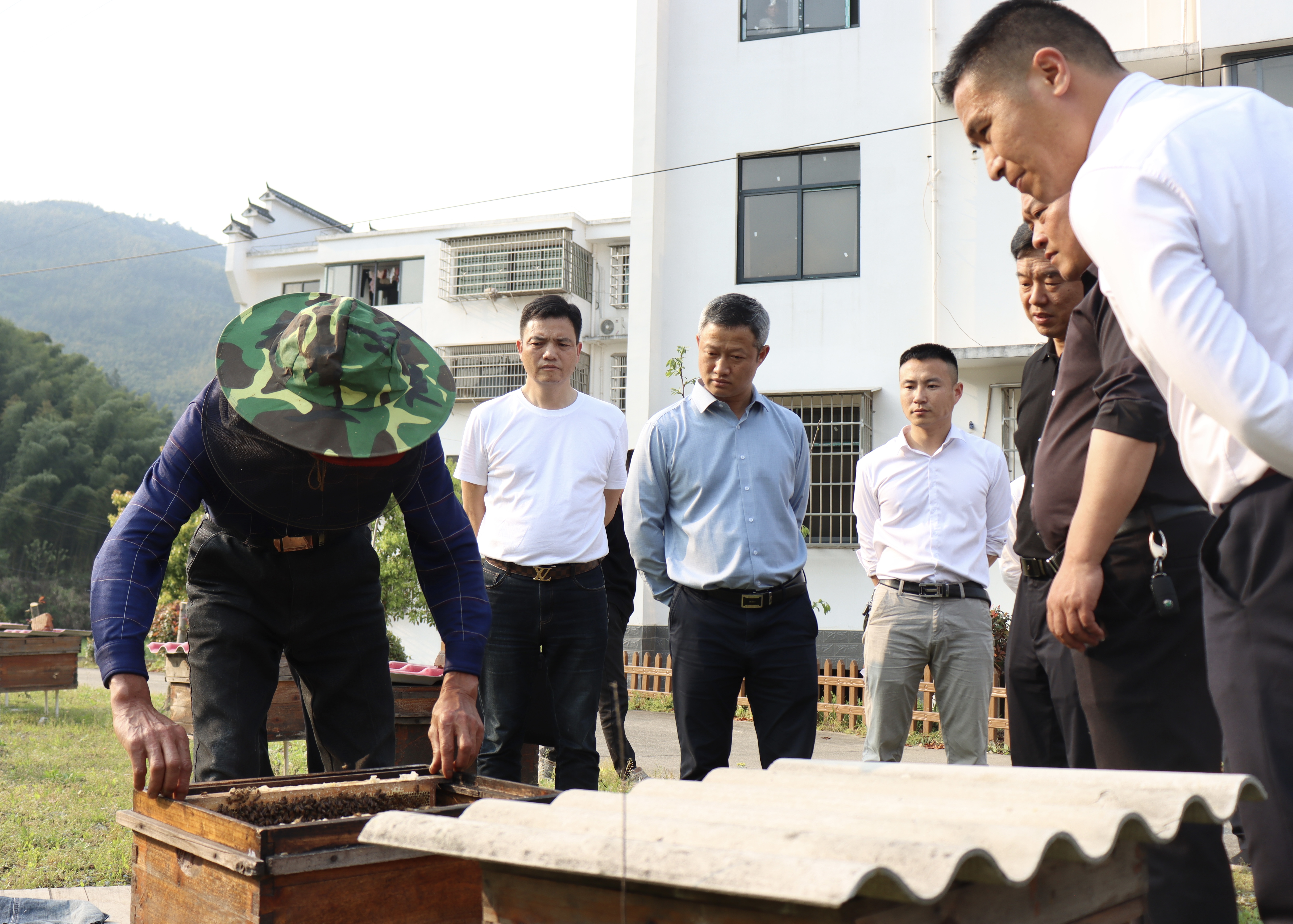 大兴调查研究｜林恒求到弼时镇白鹤洞村调研