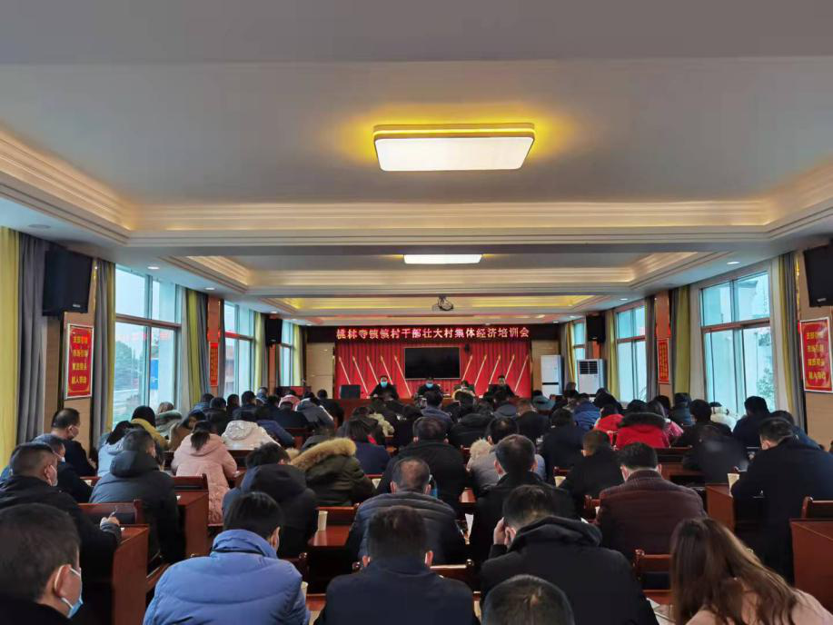 桃林寺镇：推广成功经验  发展壮大村集体经济