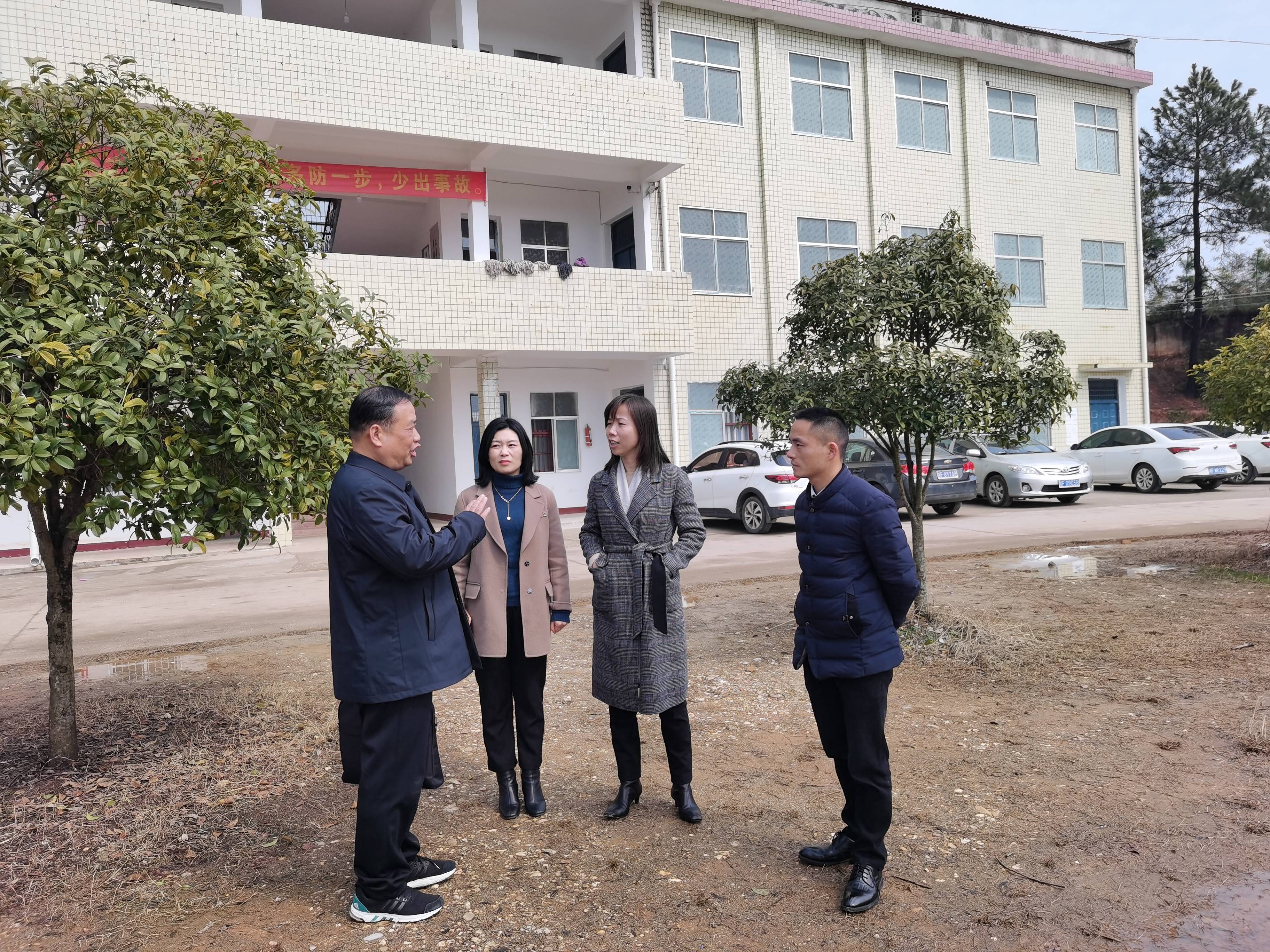 苏红琳调研古培镇教育工作